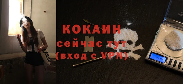 твердый Арсеньев