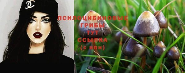 МДПВ Аркадак
