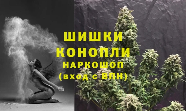 твердый Арсеньев